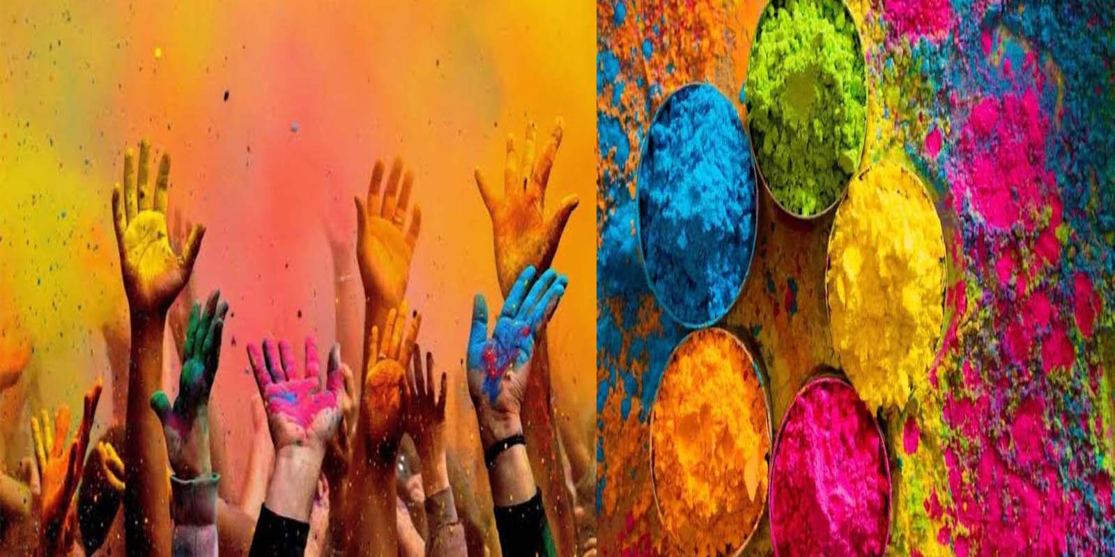 The Future of Sustainable Living: Driving Eco-Friendly Lifestyles