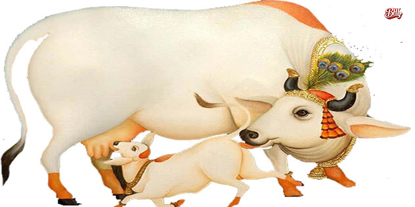 The Future of Sustainable Living: Driving Eco-Friendly Lifestyles